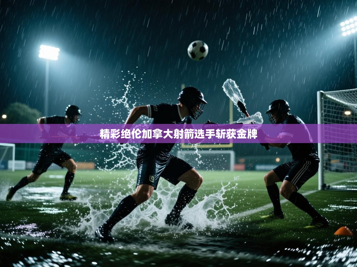 精彩绝伦加拿大射箭选手斩获金牌